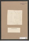 Surirella macraeana Grev. (de-Toni-Nr.: Genus 53, Species 2297) Zeichnungen Sammlung Grunow Nr. 4745 (NHMW-BOT-W0372856)